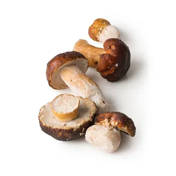 Frozen Mushrum (8)-7232292-32801.webp